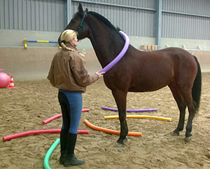 Gelassenheitstraining