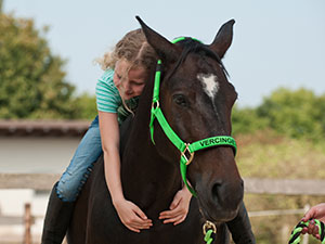 Heilpädagogische Förderung mit Pferd